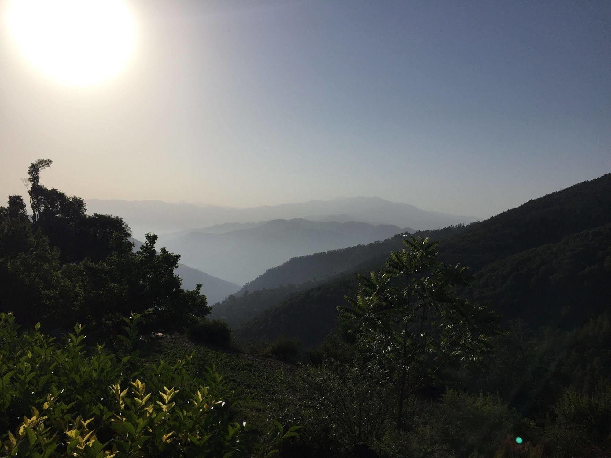 Natureraga Fernhill Resort Chail Exterior foto